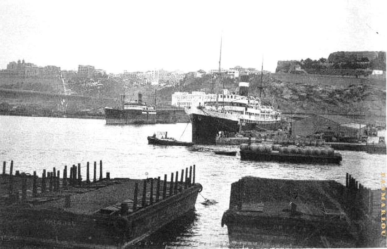 PO e- 192.jpg